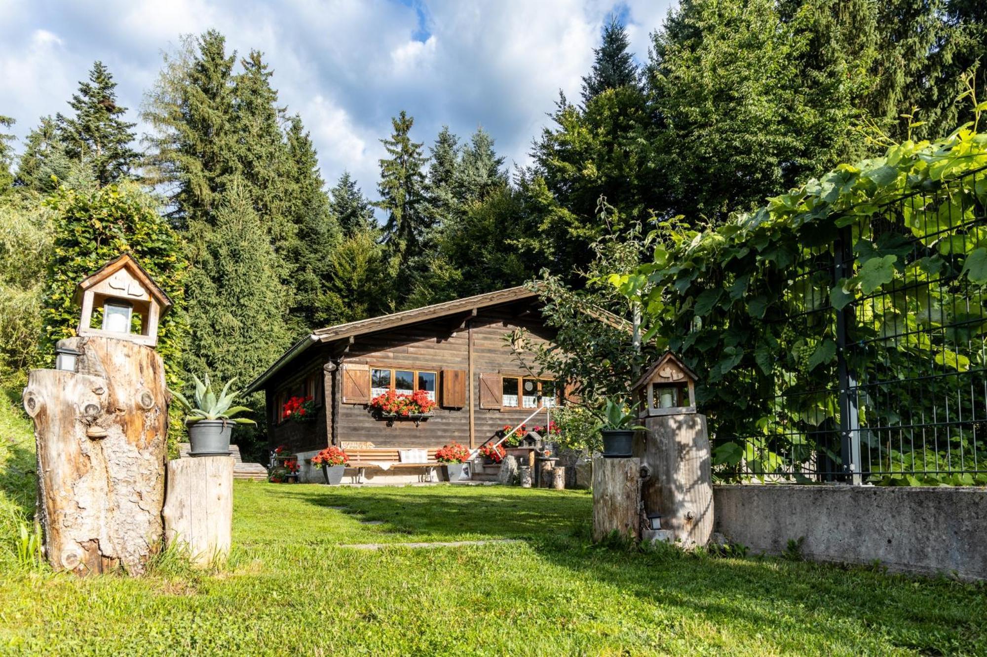 Ferienhuette Puutz Apartment Wörgl Exterior foto